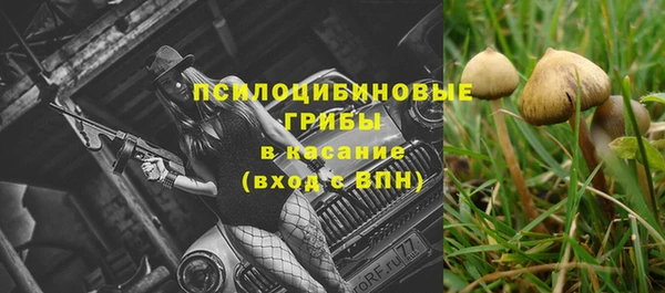 COCAINE Богданович