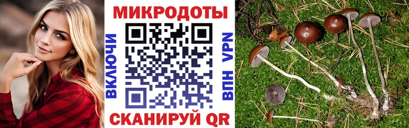 Псилоцибиновые грибы ЛСД где найти Буинск